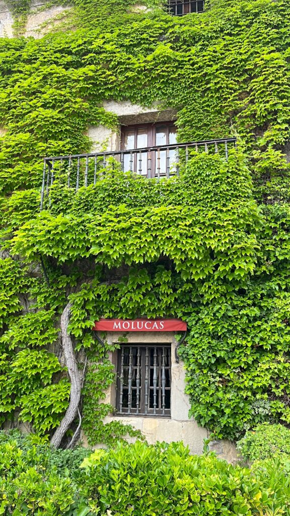 10 Kunci Pernikahan Bahagia dan Tahan Lama | Photo by Mora 22 on Pexels